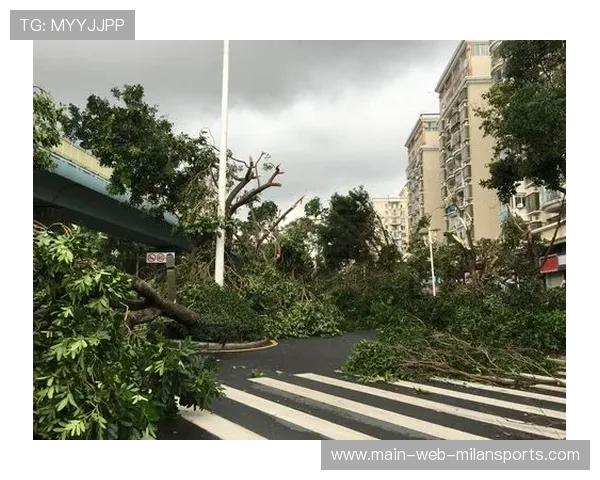 惠州海滩台风后海鲜多，市民迎来好收成，惠州台风今天最新消息刚刚